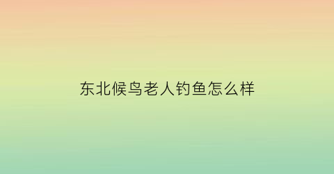 东北候鸟老人钓鱼怎么样(北方候鸟老人)