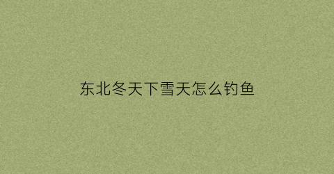 东北冬天下雪天怎么钓鱼(东北冬天下雪天怎么钓鱼最好)