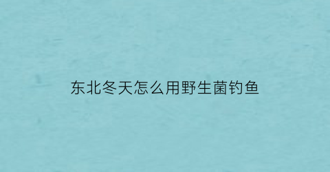 东北冬天怎么用野生菌钓鱼(冬天的野生菌可以吃吗)