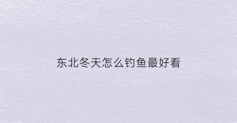 “东北冬天怎么钓鱼最好看(东北冬天如何钓水库的鱼)