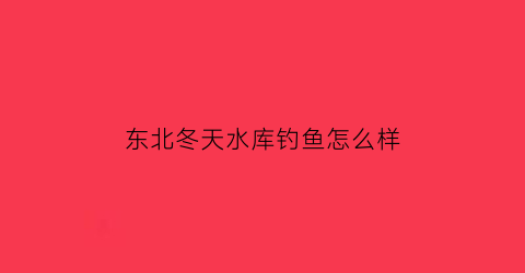 东北冬天水库钓鱼怎么样