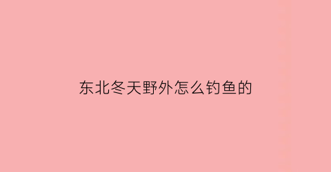 “东北冬天野外怎么钓鱼的(看东北冬钓)