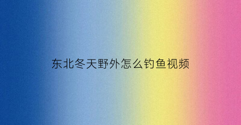 “东北冬天野外怎么钓鱼视频(东北冬天野外怎么钓鱼视频讲解)