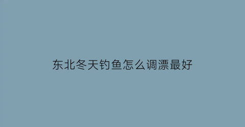 “东北冬天钓鱼怎么调漂最好(东北冬天钓鱼怎么调漂最好呢)