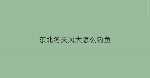 东北冬天风大怎么钓鱼(冬天东北风钓鱼怎么样)