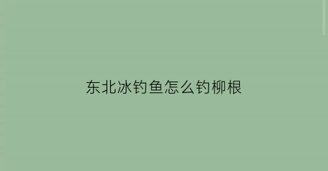 东北冰钓鱼怎么钓柳根(东北冰钓技巧)