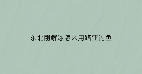 东北刚解冻怎么用路亚钓鱼