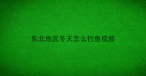 东北地区冬天怎么钓鱼视频(东北冬钓用什么鱼竿)