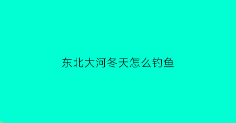 “东北大河冬天怎么钓鱼(大河冬天里怎么钓鱼)