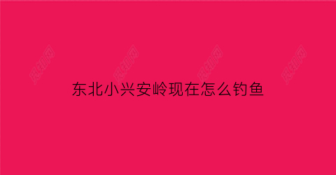 东北小兴安岭现在怎么钓鱼(小兴安岭有没有海)