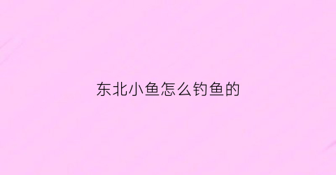 东北小鱼怎么钓鱼的