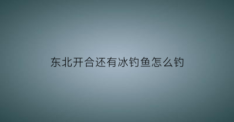 东北开合还有冰钓鱼怎么钓