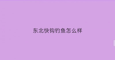 东北快钩钓鱼怎么样(快鱼鱼钩怎么样)