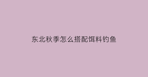 “东北秋季怎么搭配饵料钓鱼(东北秋季怎么搭配饵料钓鱼视频)