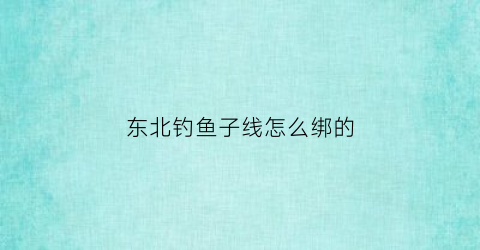 东北钓鱼子线怎么绑的(钓鱼子线绑法视频教程)