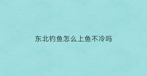 东北钓鱼怎么上鱼不冷吗