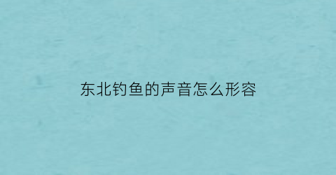 “东北钓鱼的声音怎么形容(东北人钓鱼)