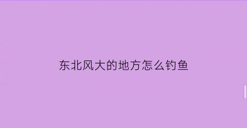 “东北风大的地方怎么钓鱼(东北风大的地方怎么钓鱼视频)