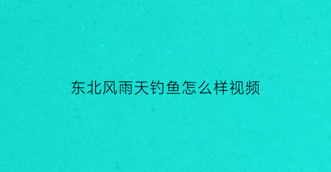 东北风雨天钓鱼怎么样视频