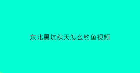 东北黑坑秋天怎么钓鱼视频(东北黑坑秋天怎么钓鱼视频教学)