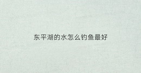 东平湖的水怎么钓鱼最好(东平湖垂钓的具体位置)