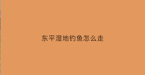 东平湿地钓鱼怎么走(东平野钓的地方)