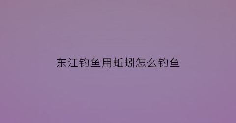 东江钓鱼用蚯蚓怎么钓鱼
