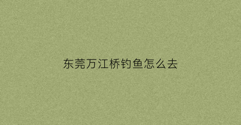 东莞万江桥钓鱼怎么去(东莞万江桥实线抓拍什么时候开始)