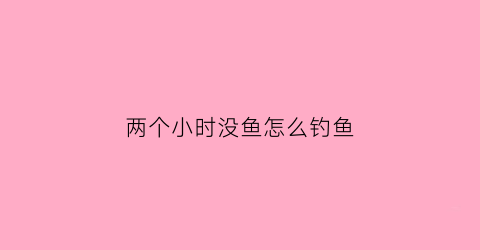 两个小时没鱼怎么钓鱼