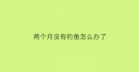 “两个月没有钓鱼怎么办了(两个月前钓的鱼还在网兜里)