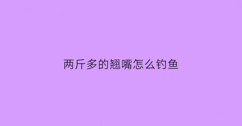 两斤多的翘嘴怎么钓鱼