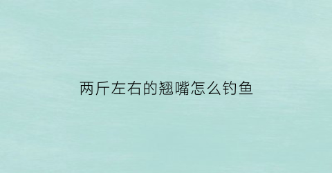 两斤左右的翘嘴怎么钓鱼(两斤左右的翘嘴用多少克的饵)