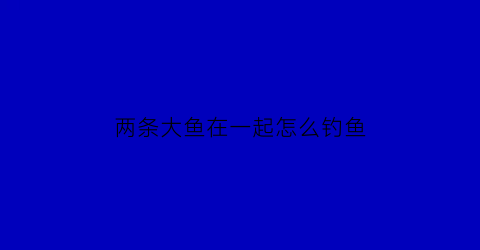 “两条大鱼在一起怎么钓鱼(两条大鱼在一起怎么钓鱼呢)