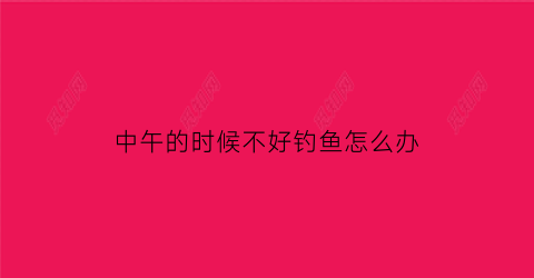中午的时候不好钓鱼怎么办(中午是不是不适合钓鱼)
