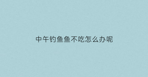 中午钓鱼鱼不吃怎么办呢(中午鱼不好钓)