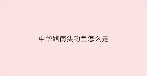 中华路南头钓鱼怎么走(中华路码头对面是什么码头)