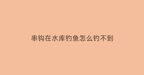 串钩在水库钓鱼怎么钓不到(串钩钓不到大鱼)