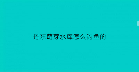 丹东萌芽水库怎么钓鱼的