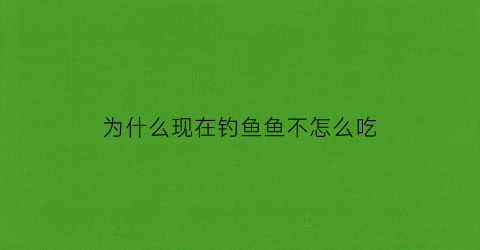 为什么现在钓鱼鱼不怎么吃(现在钓鱼为什么不吃食)