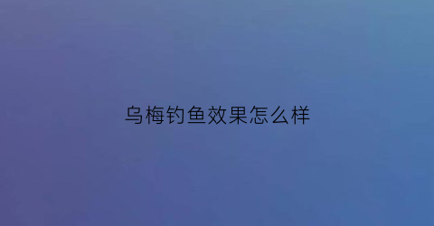 “乌梅钓鱼效果怎么样(乌梅鱼是什么鱼)