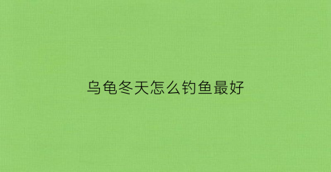 乌龟冬天怎么钓鱼最好(乌龟冬天怎么喂食物)
