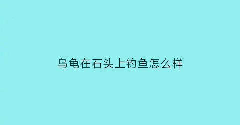 “乌龟在石头上钓鱼怎么样(乌龟在石头上钓鱼怎么样好钓吗)