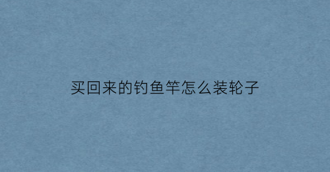 买回来的钓鱼竿怎么装轮子(新买的鱼竿怎么安)