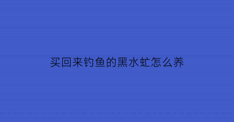 买回来钓鱼的黑水虻怎么养(黑水虻幼虫钓饵钓鱼行不行)