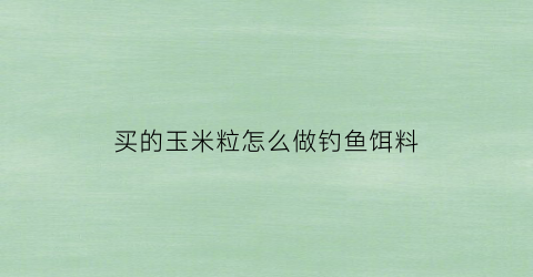 买的玉米粒怎么做钓鱼饵料(买的玉米饵料可以钓什么鱼)