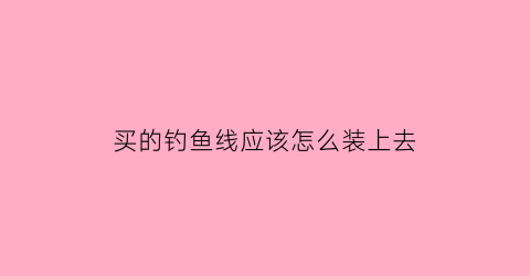 “买的钓鱼线应该怎么装上去(鱼线买回来还要自己调吗)