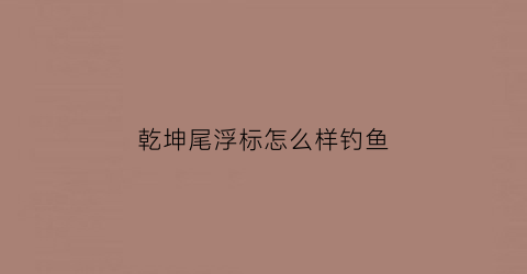 乾坤尾浮标怎么样钓鱼(乾坤后面是什么顺序)