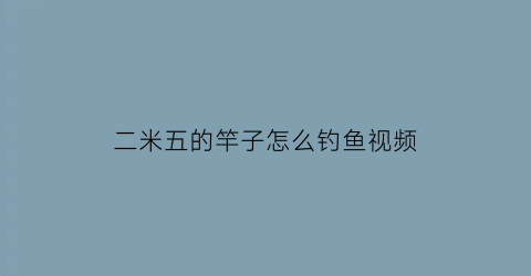 二米五的竿子怎么钓鱼视频(两米五的鱼竿主线多长)