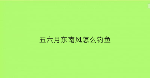 五六月东南风怎么钓鱼