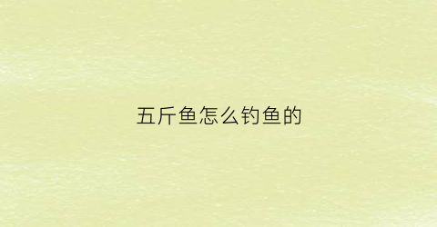 “五斤鱼怎么钓鱼的(钓五斤的鱼用几号主线和几号钩)